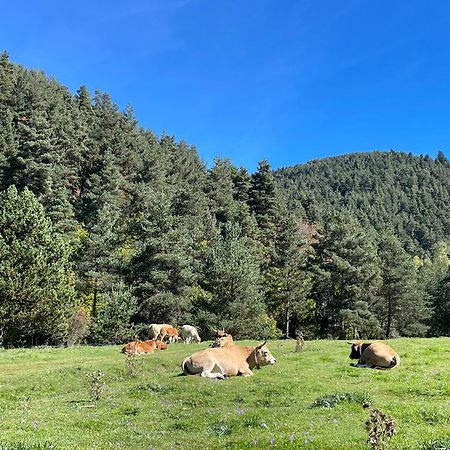 Apartamento Dalia La Molina  Luaran gambar